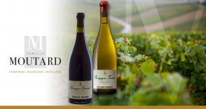 Famille Moutard | Bourgogne Côte de Grisey + Tonnerre Vaumorillon